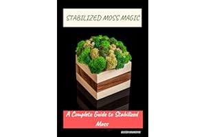Stabilized Moss Magic: A Complete Guide to Stabilized Moss
