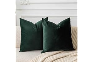 JUSPURBET Army Green Throw Pillow Covers Set of 2 Decorative 22x22 Velvet Pillow Covers for Couch Sofa Bed Soft Cushion Covers Cases with Invisible Zipper for Living Room Home Decor
