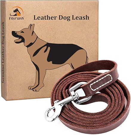 amazon dog slip leads