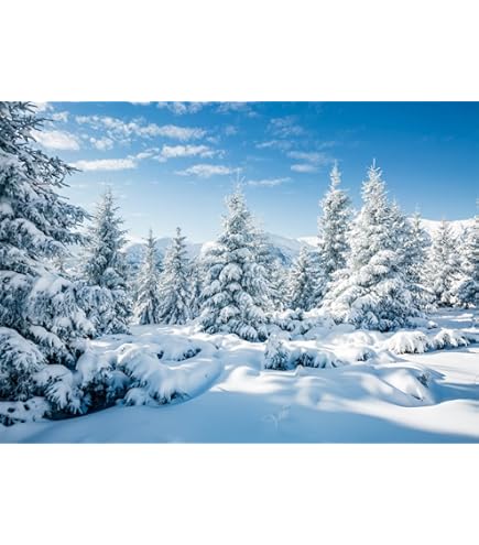 Fotohintergrund Winterlandschaft – 3x2,5 M, Motiv Central Park, Für Weihnachtsfotos