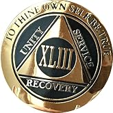 RecoveryChip 43 Year AA Medallion Elegant Black Gold Silver Bi-Plated Alcoholics Anonymous Chip