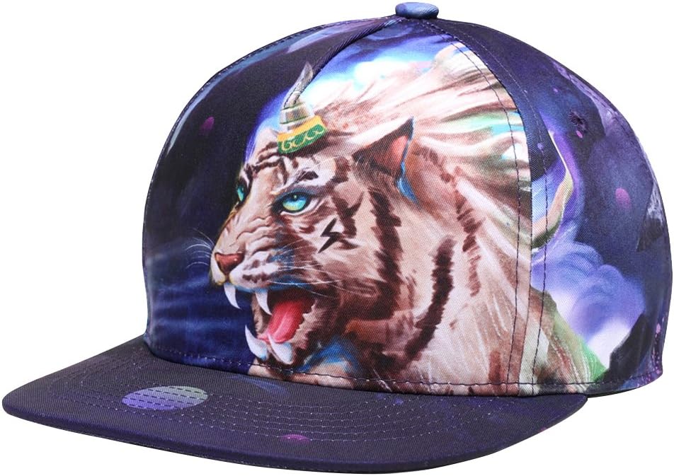 Desun Unisex Baseball Cap 3D Printing Snapback Hip Hop Hat