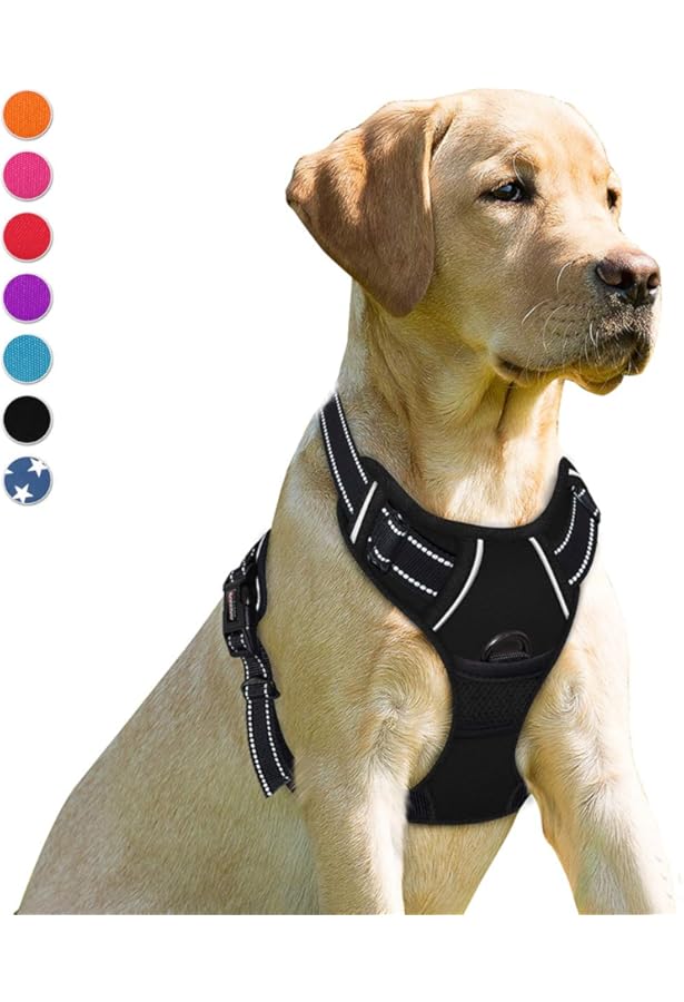 kong max padded harness