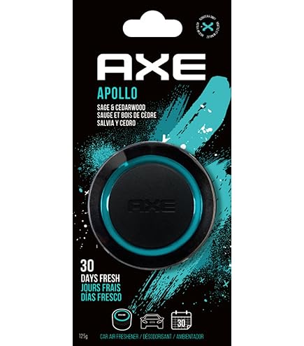 1 Pièce Désodorisant Pour Voiture Longue Durée - Désodorisant Unicolore