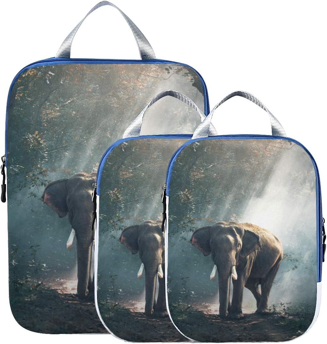 Travel Luggage Packing Organizers 