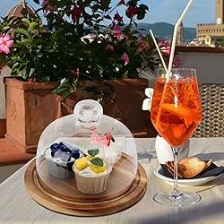 KVMORZE 8.6''Cake Stand with Glass Dome, 2-in-1