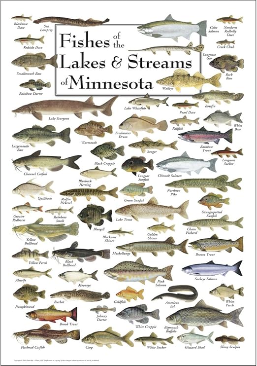 Lakes \u0026 Streams of Minnesota - Poster 