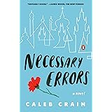Necessary Errors: A Novel