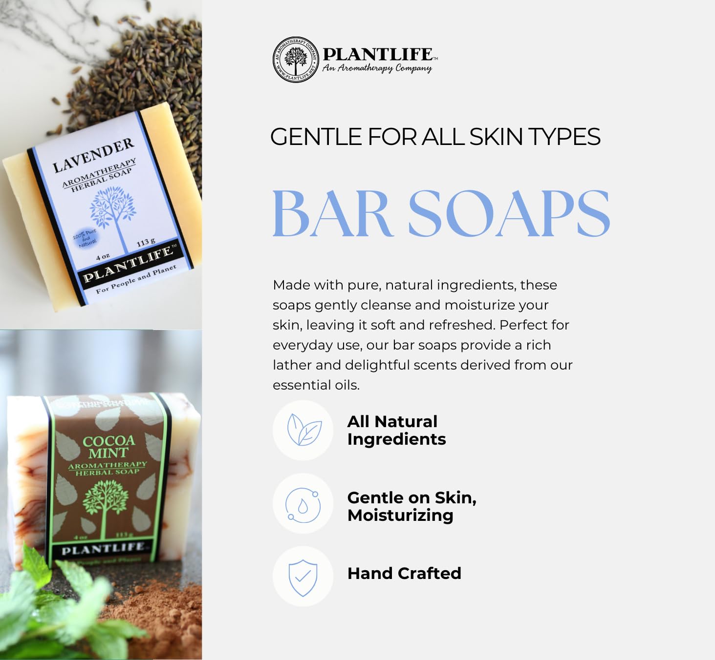 Plantlife Green Tea Bar Soap - Moisturizing and Soothing Soap for Your Skin - Hand Crafted Using Plant-Based Ingredients - Made in California 4oz Bar