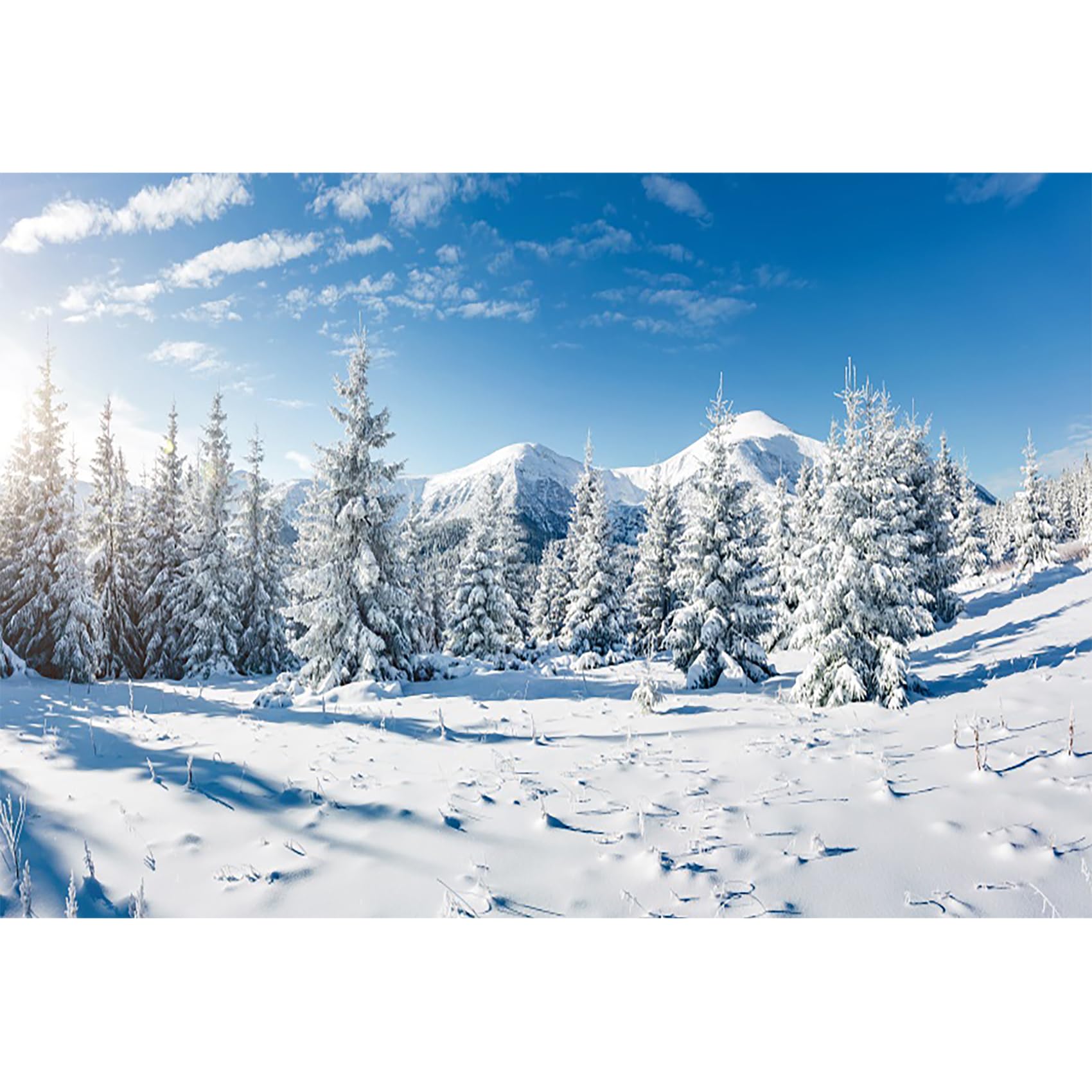 MIRRORANG 2,2x1,5m Christmas Wall Art Winter Forest Landscape Backdrop Outdoor Snow Scene Pine Tree Frozen Wall Decor Background for Photography Xmas Photo Backdrop, Vinyl