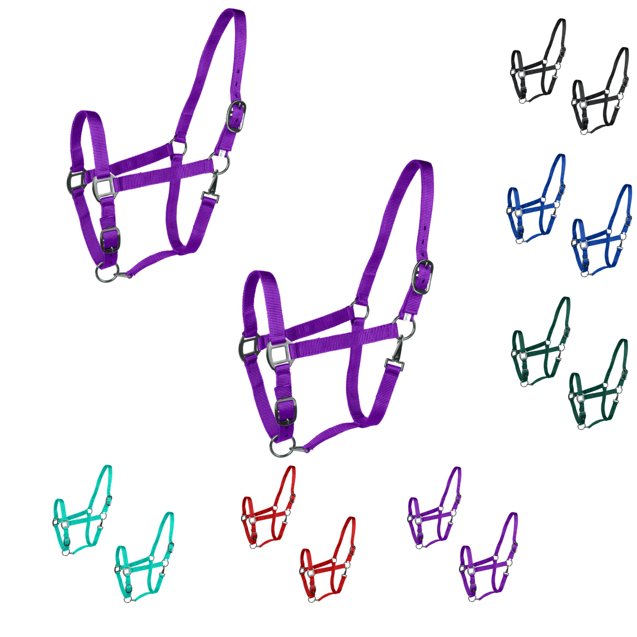 Majestic Ally Pack of 2 Adjustable Headcollar for Horses–Adjustable Chin and Crown– Sewn-in Throat Snap Hook- Full (Purple, Full)