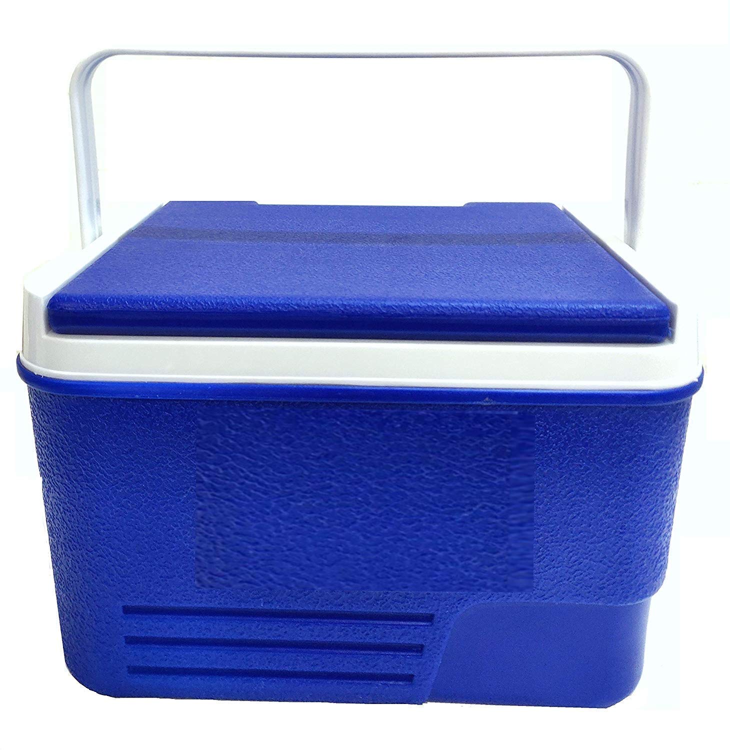 Buy Aristo Summer Picnic Ice Box Medicine and Blood Storage Ice Box