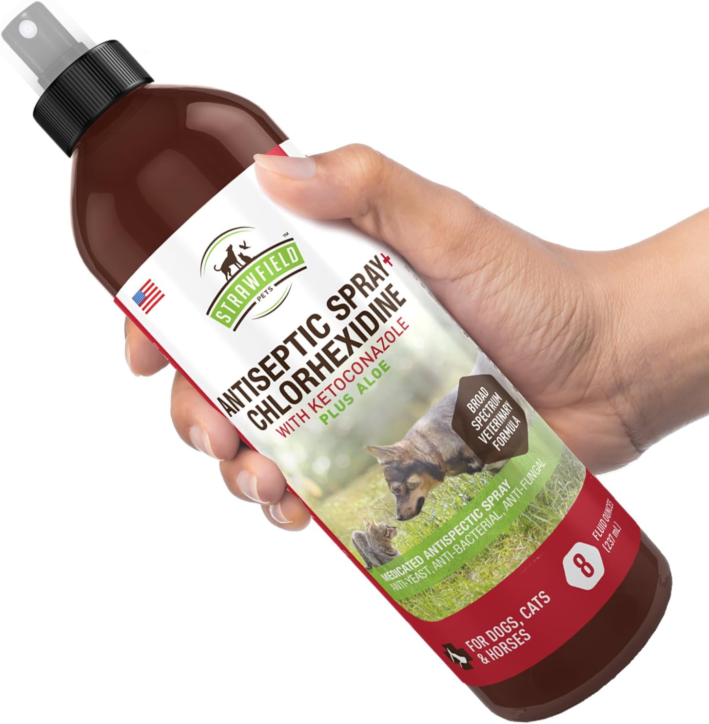 Chlorhexidine Spray for Dogs, Cats - Ketoconazole, Aloe - 8 oz - Cat, Dog Hot Spot Treatment, Mange, Ringworm, Yeast Infection, Itching Skin Relief, Allergy Itch, Acne, Antibacterial Antifungal, USA : Pet Supplies