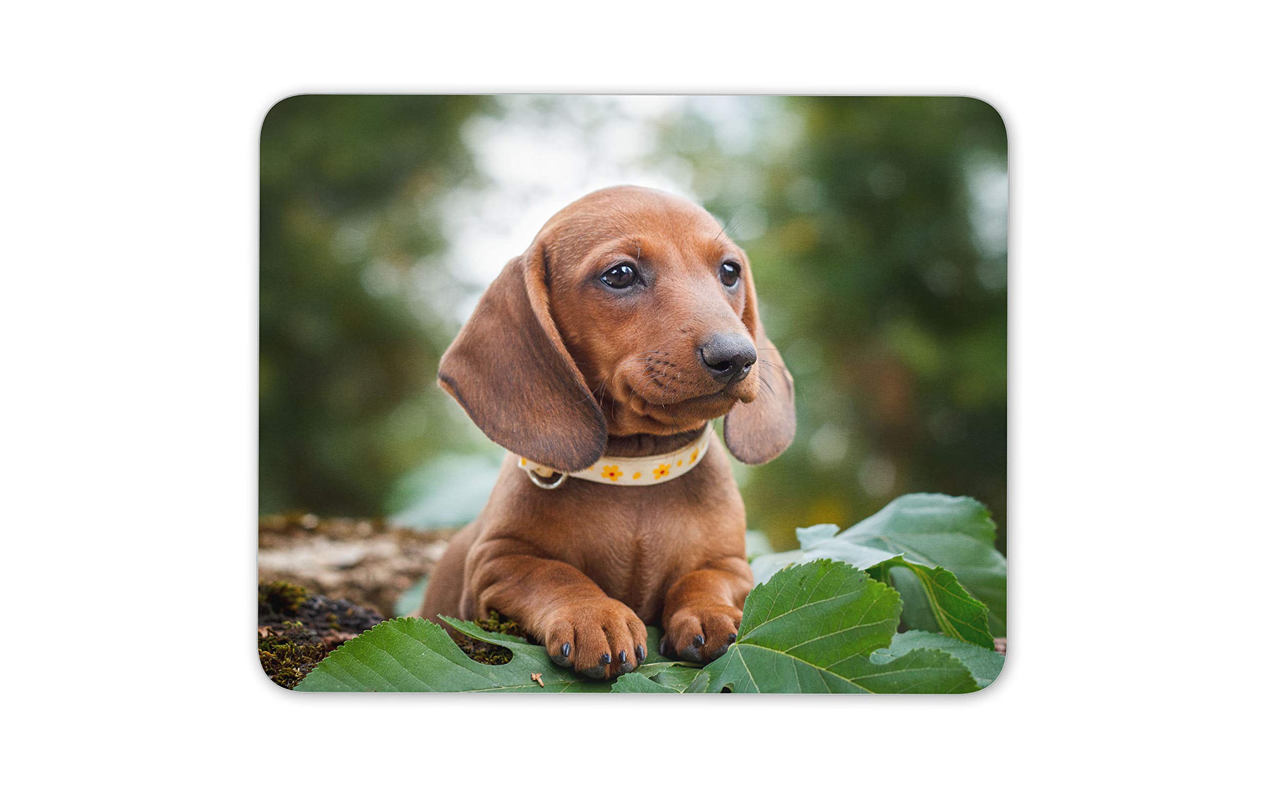 Destination Vinyl Ltd Cute Dachshund Mouse Mat Pad - Sausage Dog Puppy Hound Kids Computer #16292