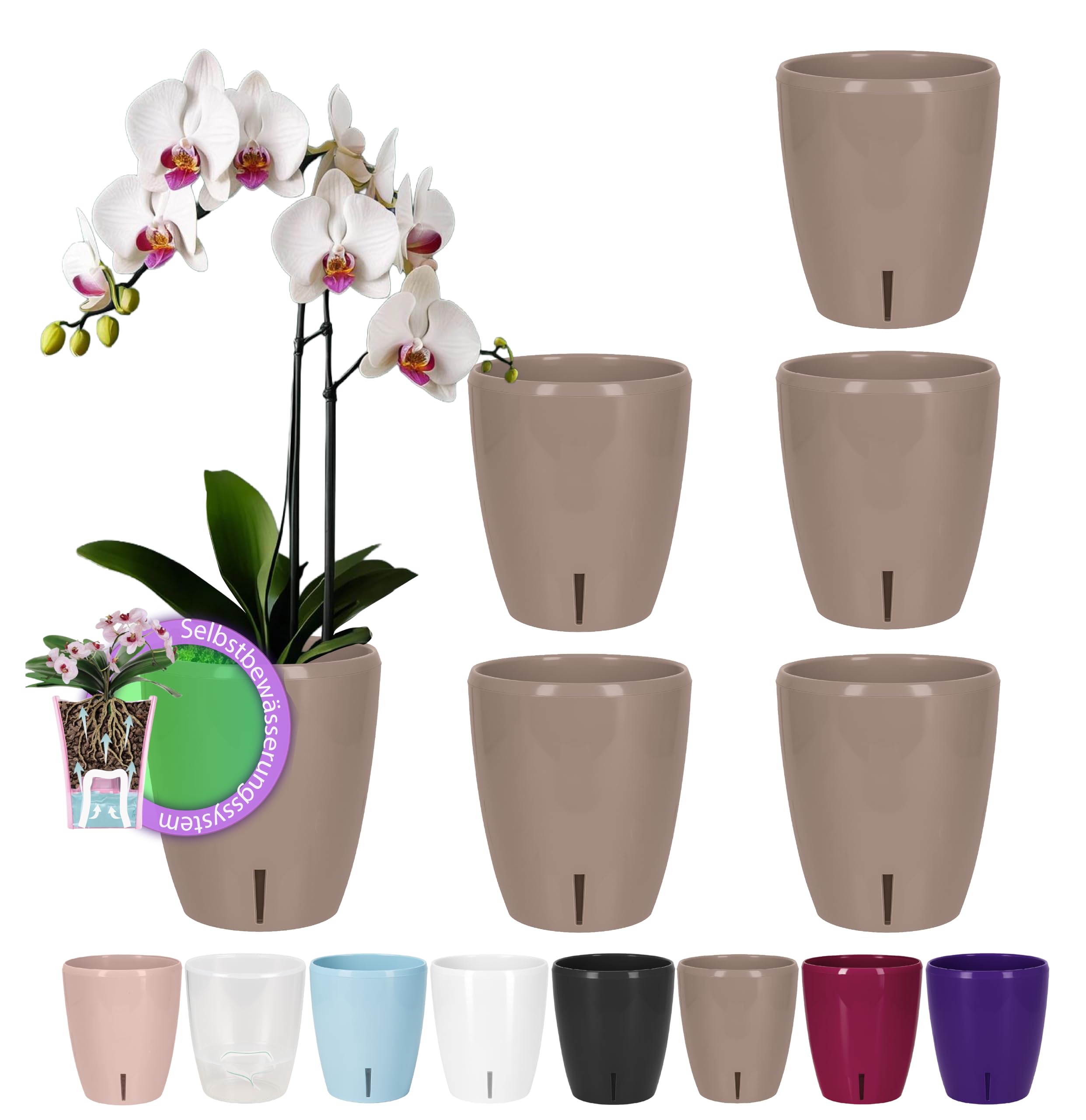 Santino SET OF 6 ORCHIDEA Self-Watering Orchid Pot - 12CM Self-Watering Decorative Planter with Wick System and Water Level Indicator (Ø 12.5 cm, H 15 cm, 1.3L - Sand)