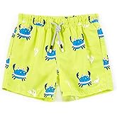 SURF CUZ Surfcuz Little Boys Swim Trunks UPF 50+ Toddler Beach Shorts Swimsuit Kids Quick Dry Swimwear