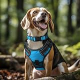 Joytale Reflective Dog Collar Large Skyblue Neoprene Padded Nylon view 2