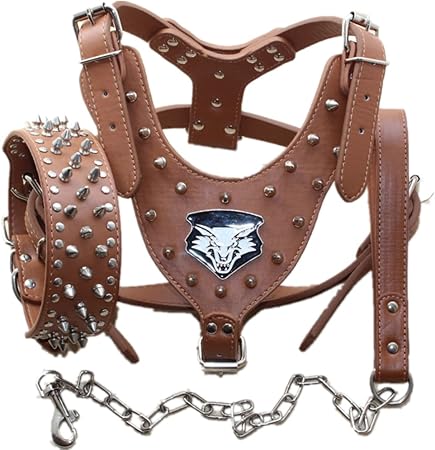 large breed dog collars and leashes