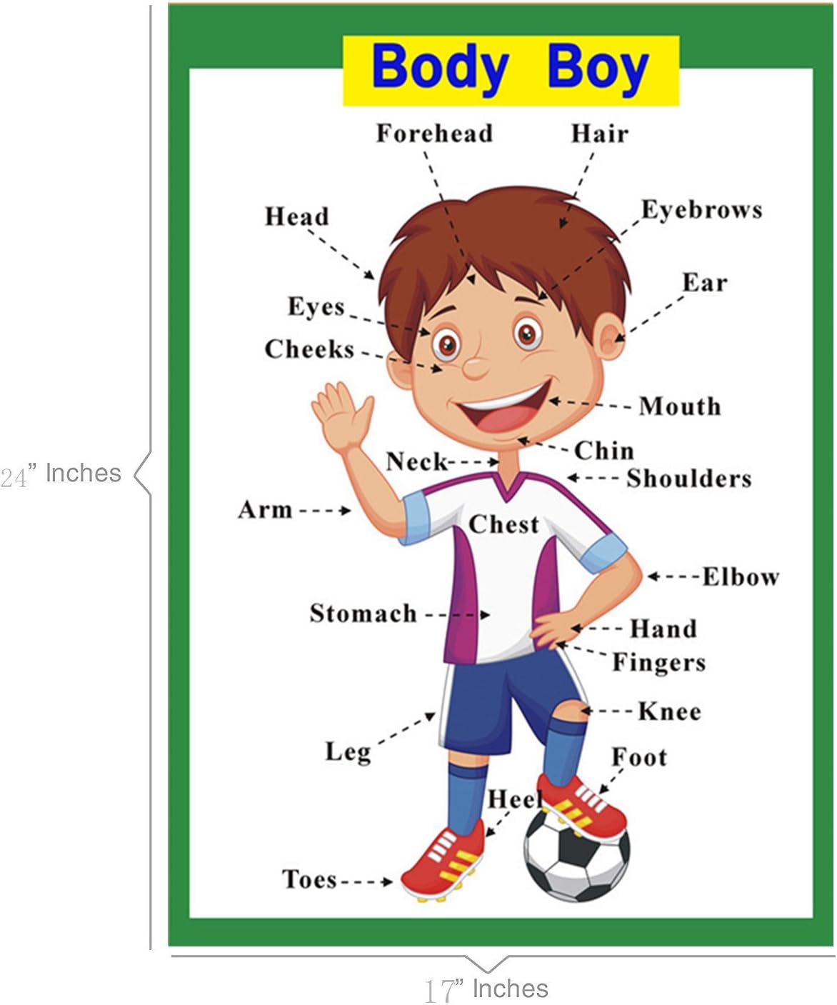 Amazon Com Santsun Educational Preschool Posters Educational