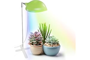 Diivoo Succulent Plant Grow Light, LED Growing Light Full Spectrum for Indoor Plants, Height Adjustable Growing Lamp with Auto On/Off Timer 4/8/12/18H, 10 Dimmable Brightness