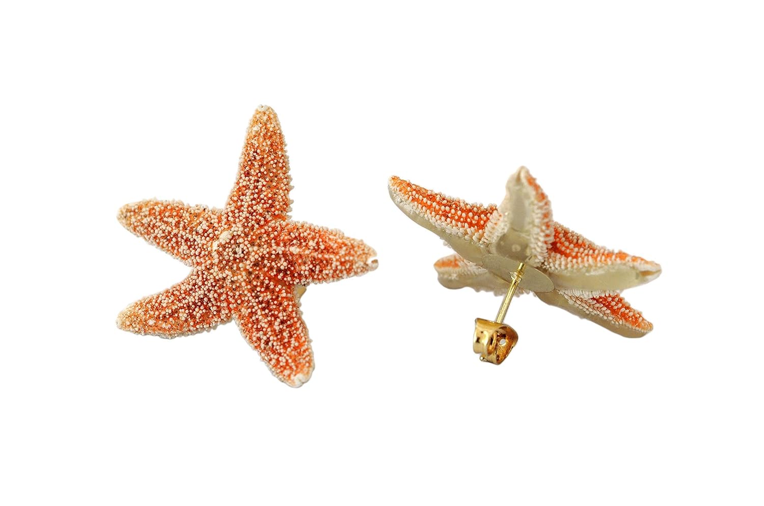 Amazon.com: Real Starfish Earrings 