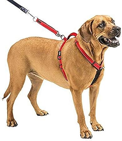 dog pulling harness amazon