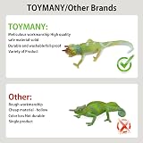 toymany 12PC Reptile Animal Figurines Set Cold Blooded Amphibians Jungle Lizard view 6