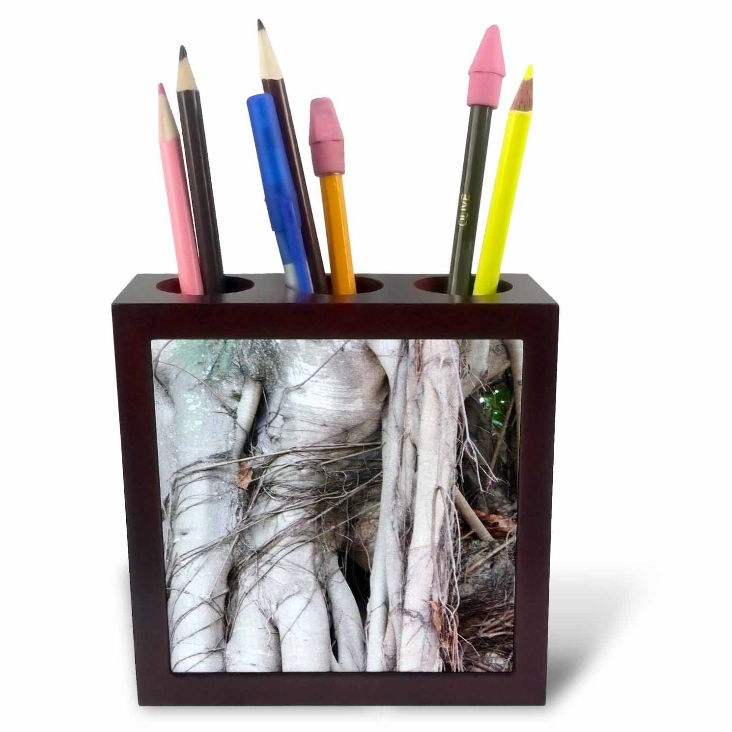 3dRose Image of Several Twisted Limbs Form Abstract Inch (Ph_274925_1), 5" Tiles Pen Holder