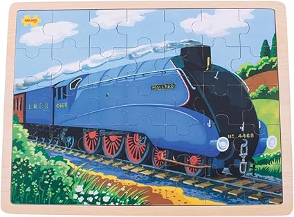 bigjigs electric train