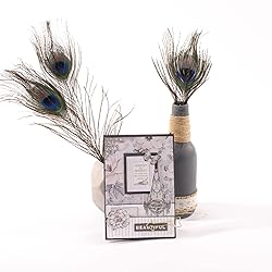 Vaessen Creative Mini Embossing