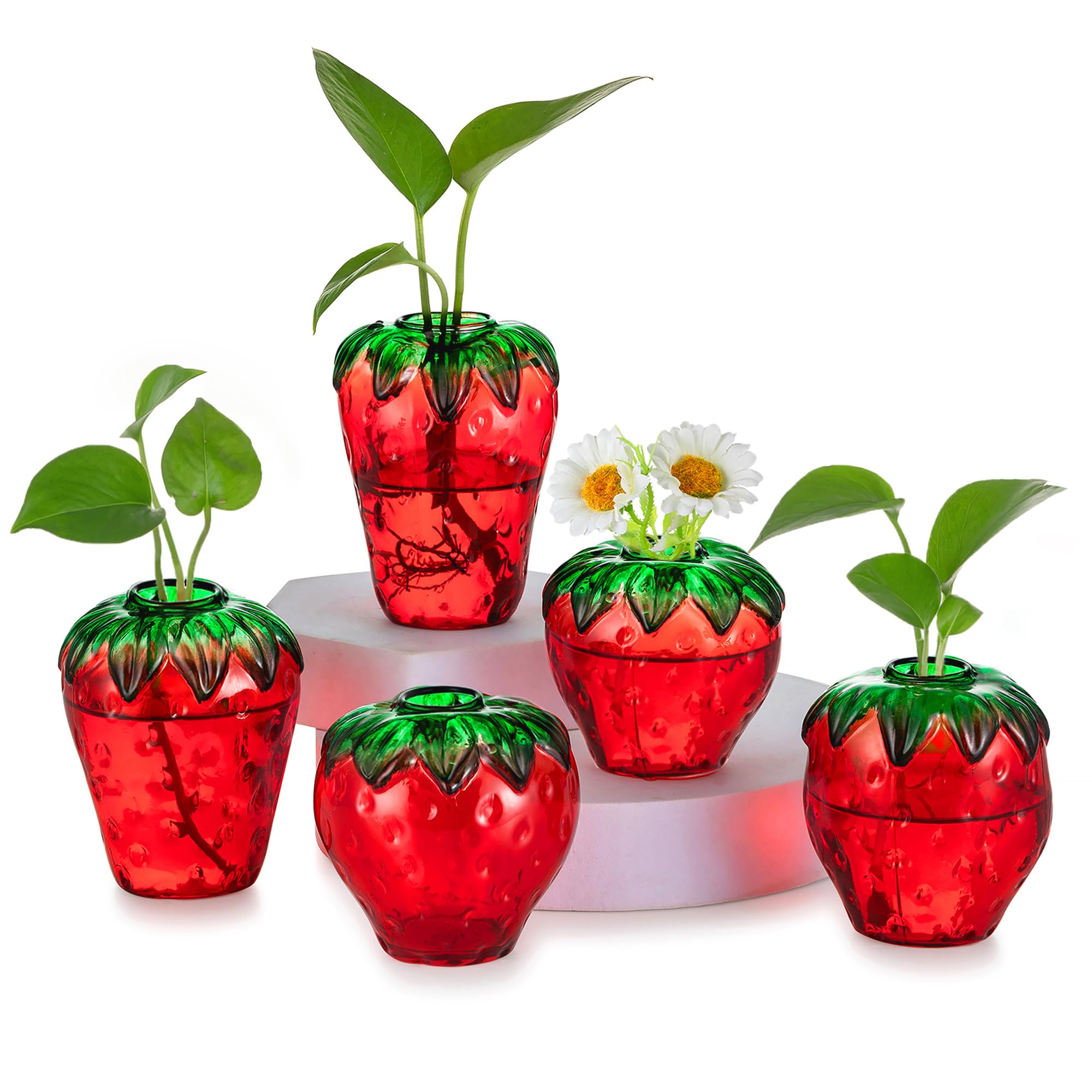 Photo 1 of Glass Strawberry Propagation Vases for Plants: 5PCS Cute Strawberry Decor for Home Kitchen Bathroom Office - Unique Indoor Hydroponic Planters Gifts for Mom Women Mothers Day (Red)
