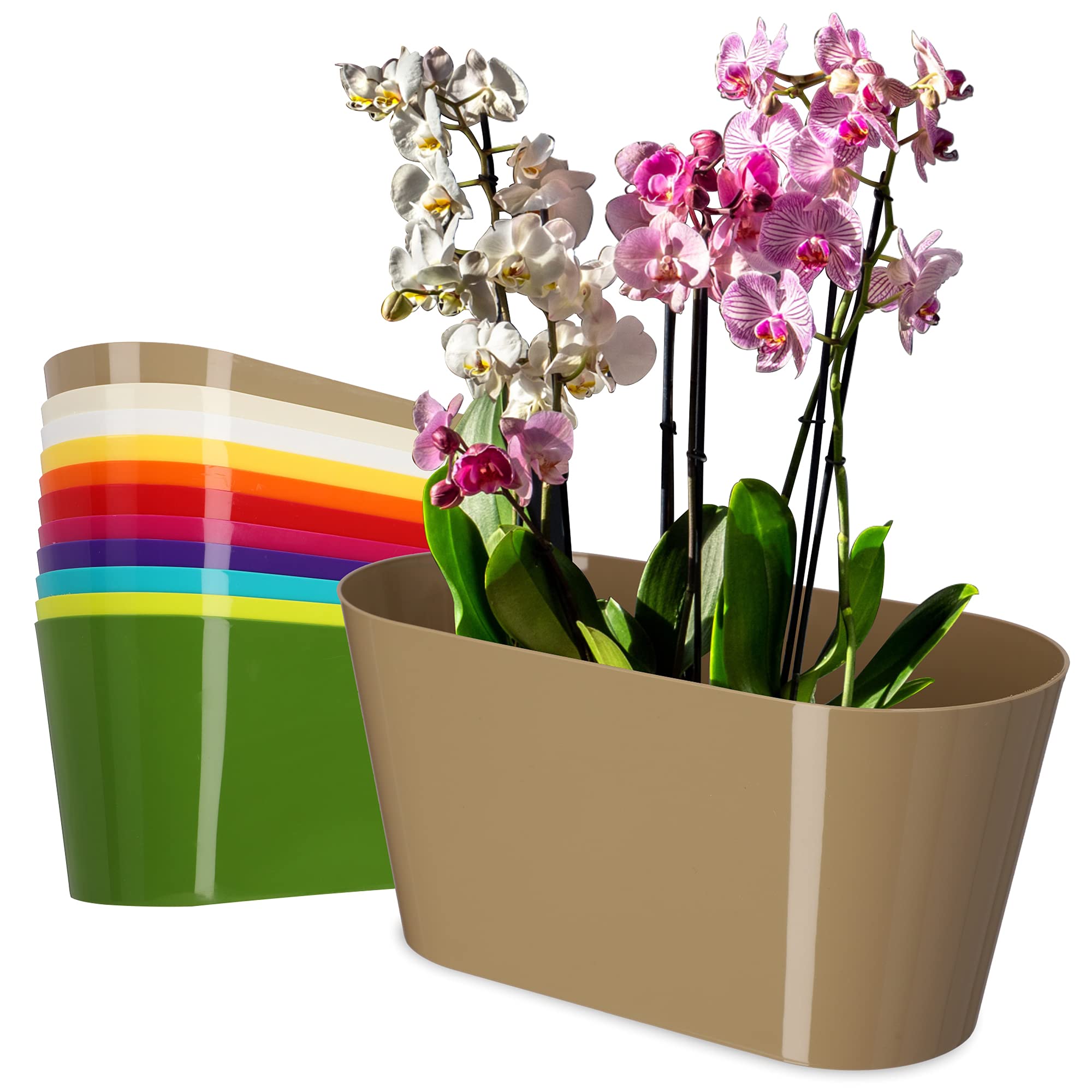 KADAX Plant Pot, Plastic Flowerpot in Several Colours, Oblong Planter for Living Room, Office, Bedroom, Decorative Orchid Pot (27 x 13 cm, Beige)