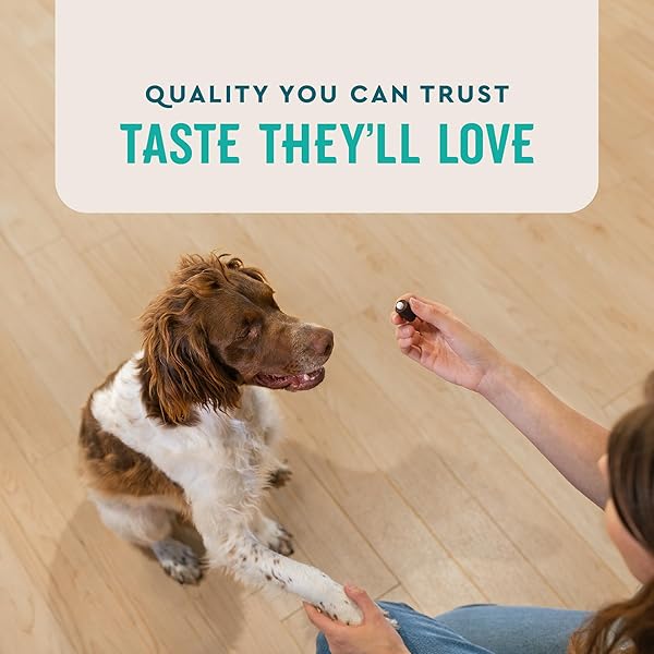 VETIQ PILL TREATS ADVANCED FORMULA FOR DOGS, CHICKEN FLAVOR SOFT CHEWS, MADE IN THE USA, 30 COUNT