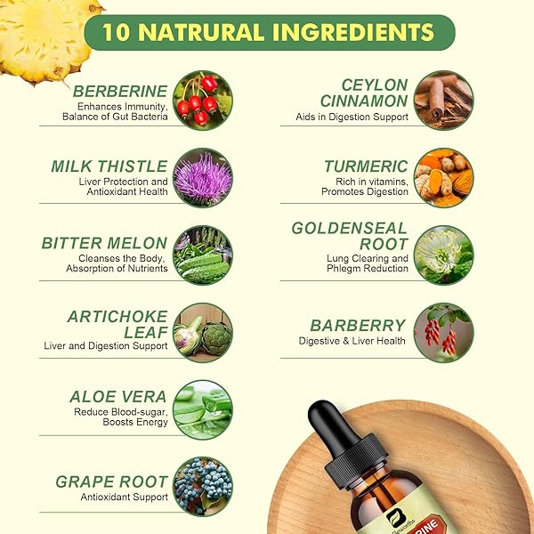 BERBERINE SUPPLEMENT WITH CEYLON CINNAMON – BERBERINE LIQUID DROPS WITH TURMERIC CURCUMIN, CEYLON CINNAMON, BITTER MELON, BERBERINE PHYTOSOME FOR DIGESTION SYSTEM, IMMUNE HEALTH SUPPORT -VEGETARIAN