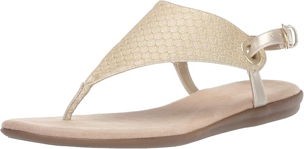 aerosoles women's in conchlusion flat sandal