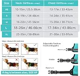 HEELE Dog Harness Large No Pull Reflective Breathable Turquoise L view 5