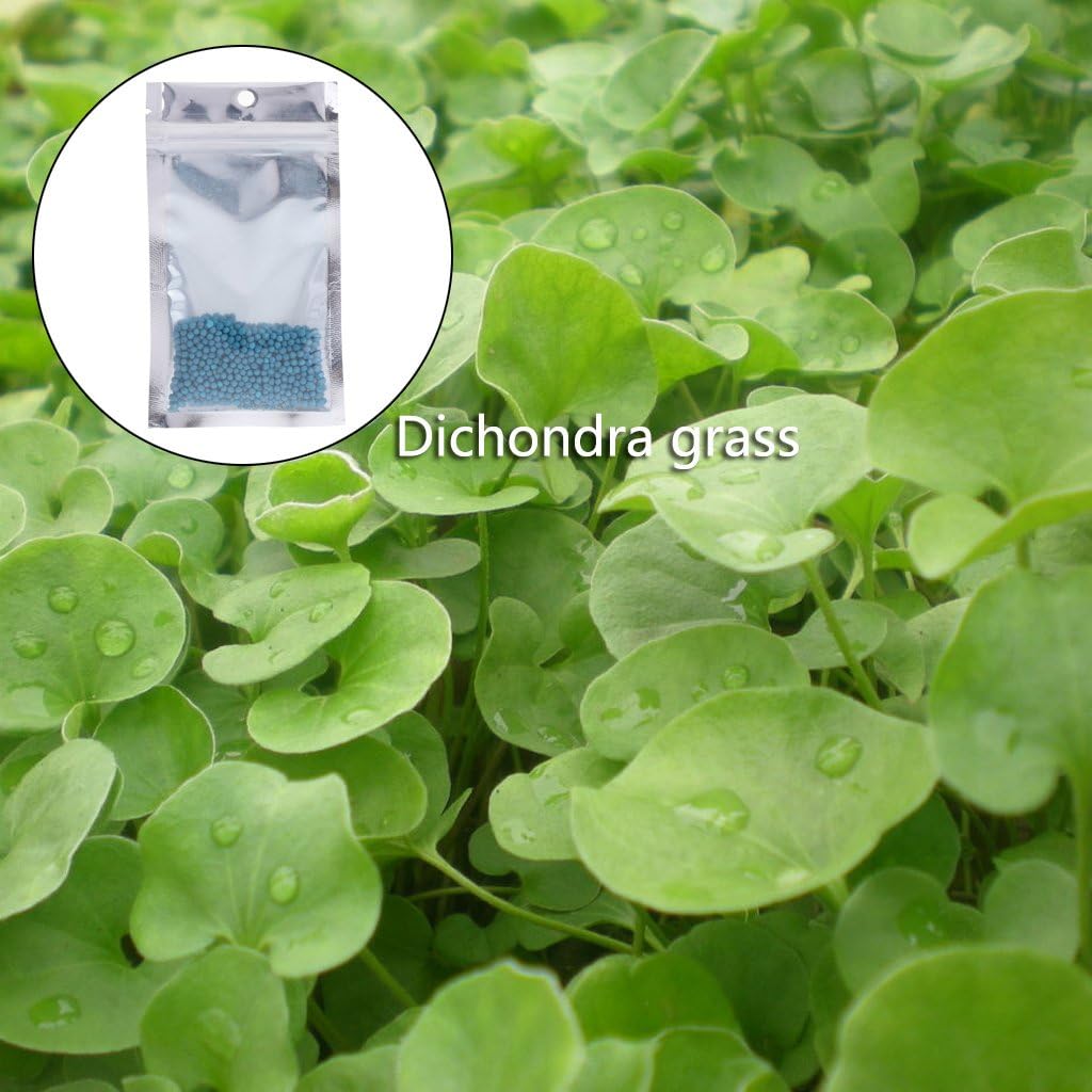 Karazhan - Aquarium Plant Seed Fish Tank Decoration 10g Water Aquatic Landscape Green Grass