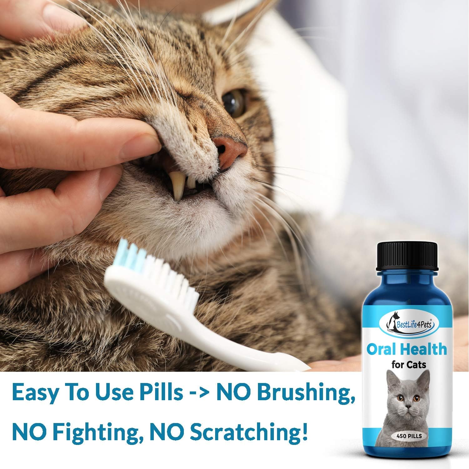 Cat Oral Health and Dental Care Supplement - Natural Anti-inflammatory and Pain Relief for Feline Stomatitis and Tooth Infection, Helps Control Tartar, Plaque and Gum Disease - Easy to Use : Pet Supplies