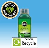 Miracle-Gro Evergreen Fast Green Liquid Lawn Food 100 m2 - 24hr Results view 8