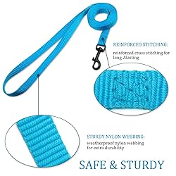 DOYOO 2 Pack Puppy Dog Leash Cat Leash, Strong and