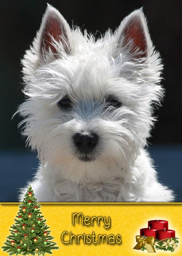 Westie/West Highland Terrier Dog Christmas Card