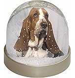 Bichon Frise Snow Dome Globe Waterball Gift: Amazon.co.uk: Kitchen & Home