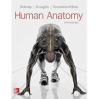 Human Anatomy
