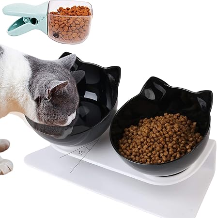 cat feeding dishes