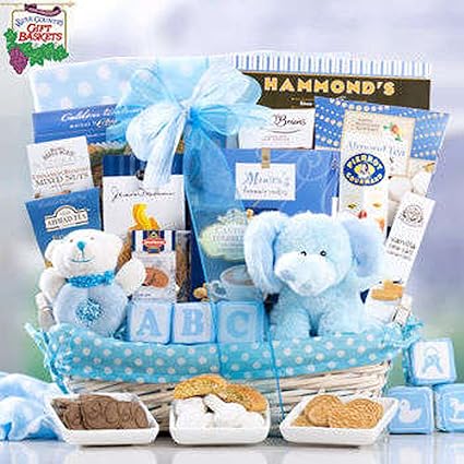 new arrival baby boy gift basket