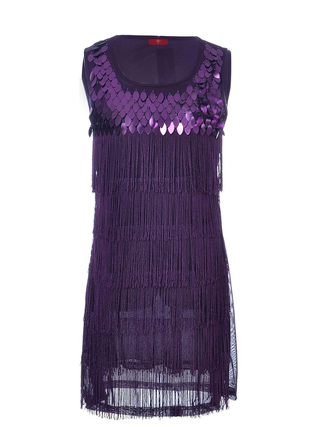 Vijiv Women's 1920s Flapper