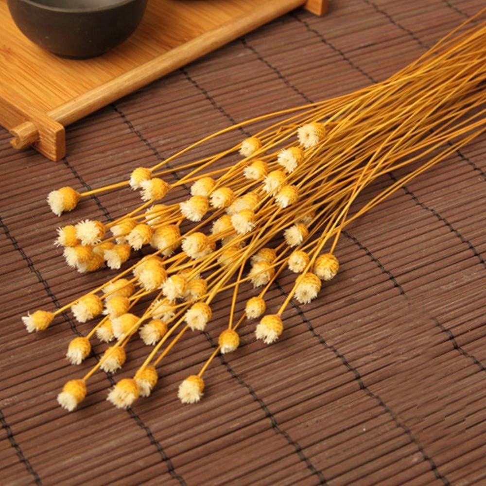 XIZHI 250 Stems Natural Dry Flowers Brazilian Small StarDaisy Decorative Dried Flowers Mini Daisy Chamomile Bouquet for Wedding DIY Home Party - Image 3