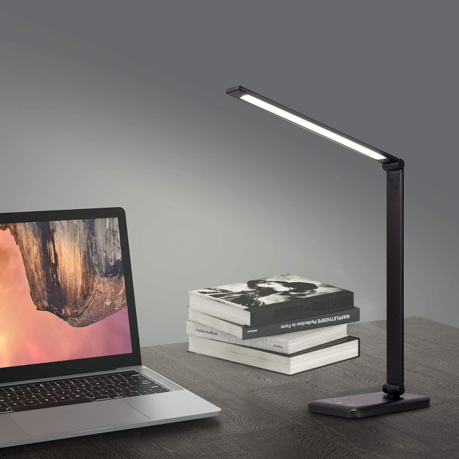 Black LED Desk Lamp with USB Charging Port Smooth Touch Light Dimmer