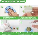 Aucenix Catnip Balls Toy Wall Rollers for Cats Pink Blue Green 360° Rotation view 6