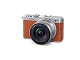 Panasonic LUMIX S9 Full-Frame Mirrorless Camera